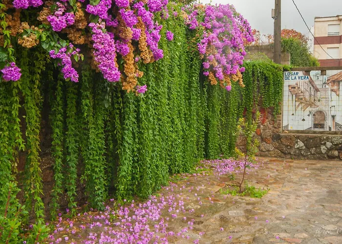 Hostel El Brezo Losar De La Vera